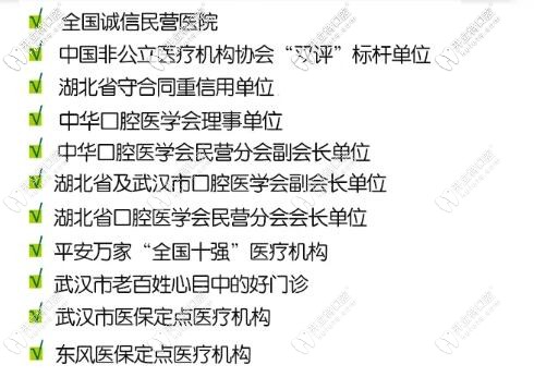武漢愛(ài)尚大眾齒科榮譽(yù)稱號(hào)