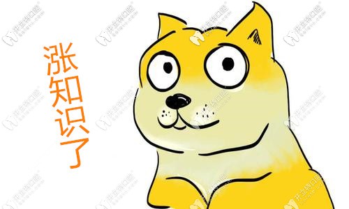 成都全瓷牙價(jià)格表