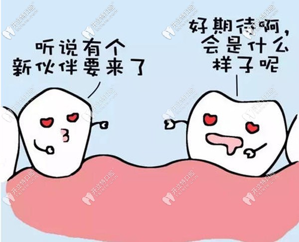 錯過較佳種牙時間多久能種牙
